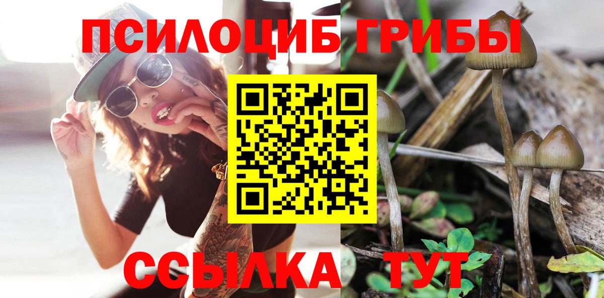 Псилоцибиновые грибы Psilocybe  Псилоцибиновые грибы Cubensis  Вход с VPN  Киселёвск 
