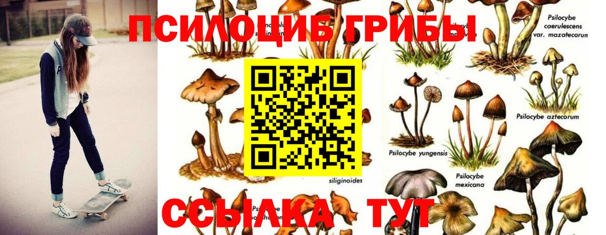 Псилоцибиновые грибы прущие грибы Киселёвск